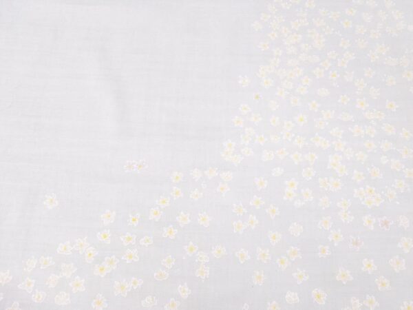 Stoff  Double Gauze Nani Iro Edelweiss